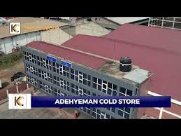 Adehyeman Coldstore